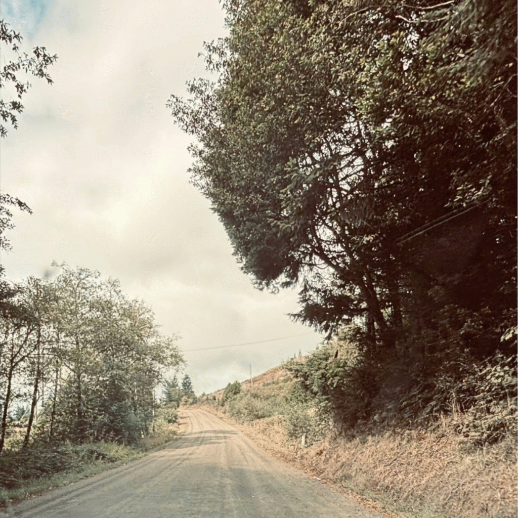 ambition album artwork